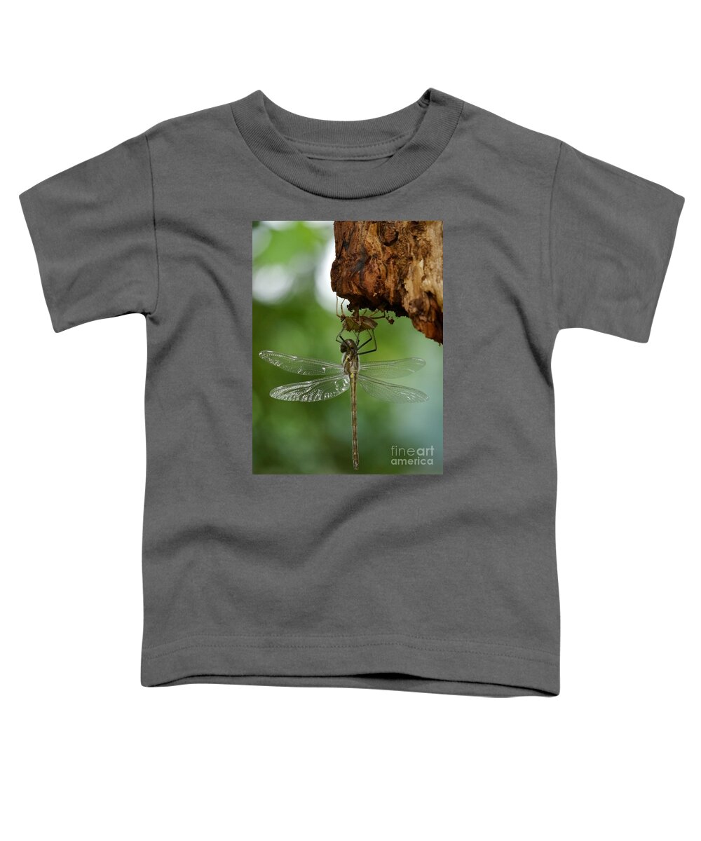 Jane Ford Toddler T-Shirt featuring the photograph Dragonfly by Jane Ford