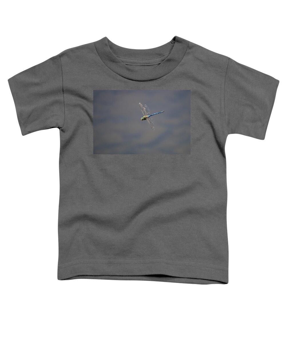 Dragonfly Toddler T-Shirt featuring the photograph Dragonfly by Paulo Goncalves