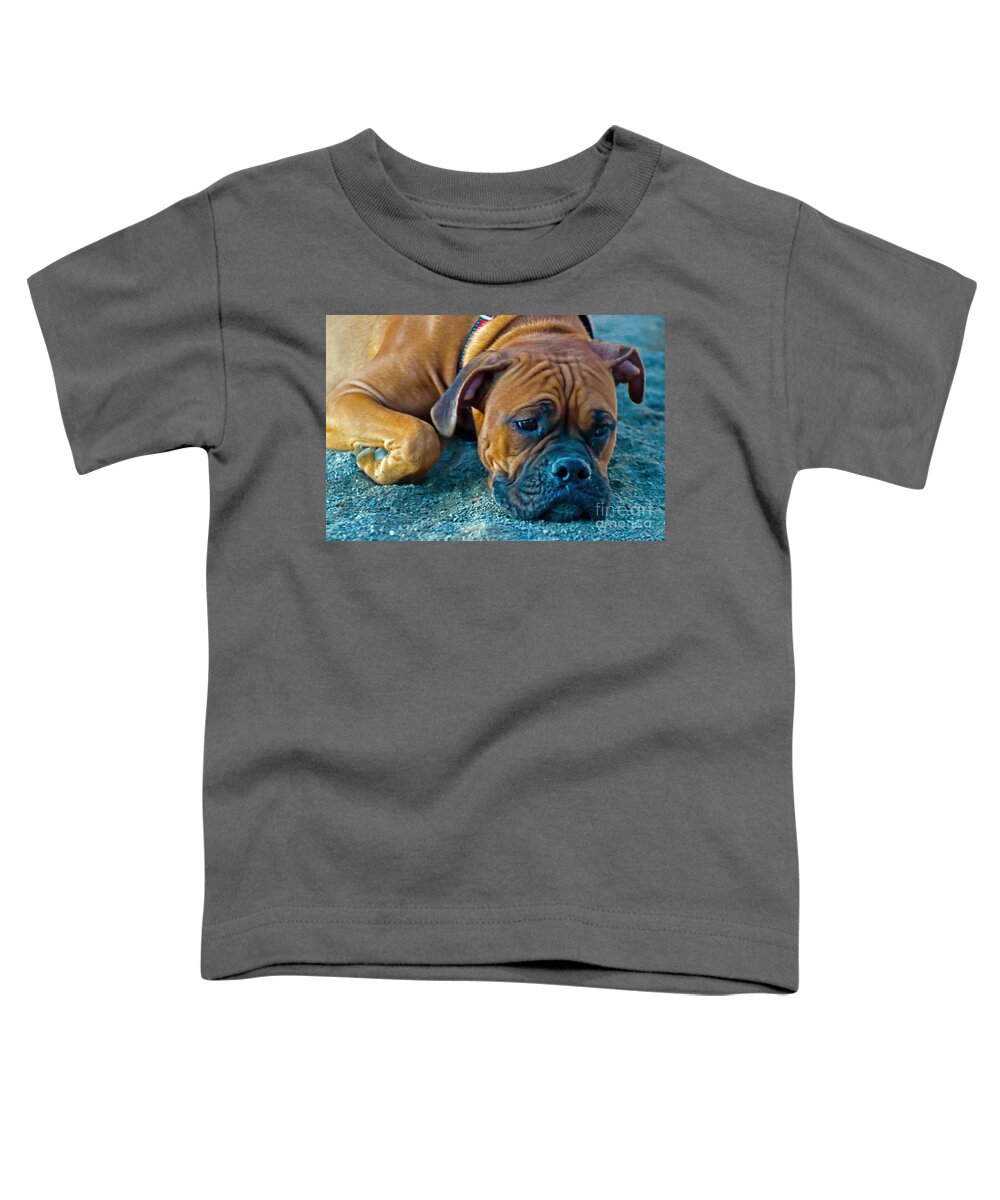 Dog Toddler T-Shirt featuring the photograph Dreaming Boxer by PatriZio M Busnel