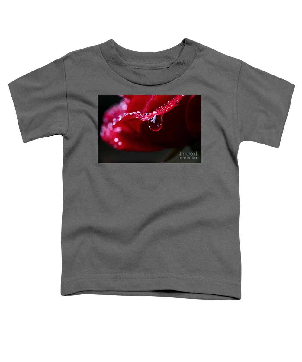 Rose Flower Toddler T-Shirt featuring the photograph Dreams On The Edge by Michael Eingle