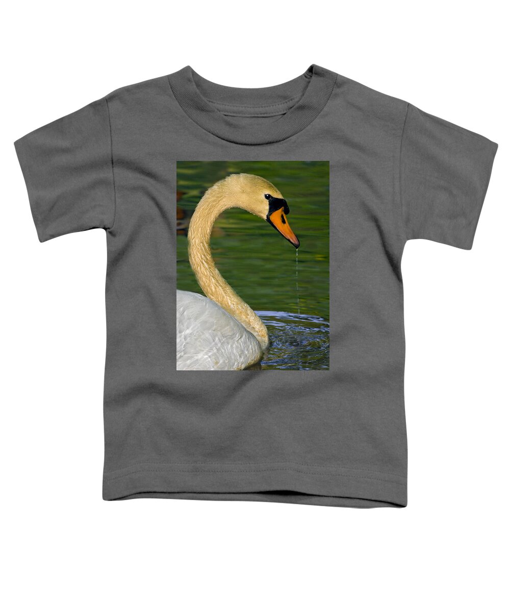 Animals Toddler T-Shirt featuring the photograph Drip Drip Drip by Susan Candelario