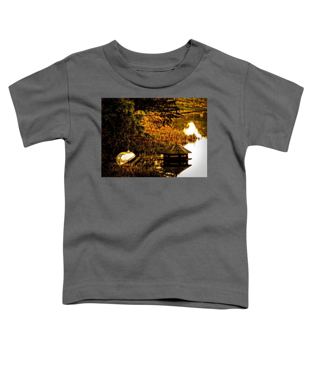 Antique Toddler T-Shirt featuring the photograph Duck House by Mark Llewellyn