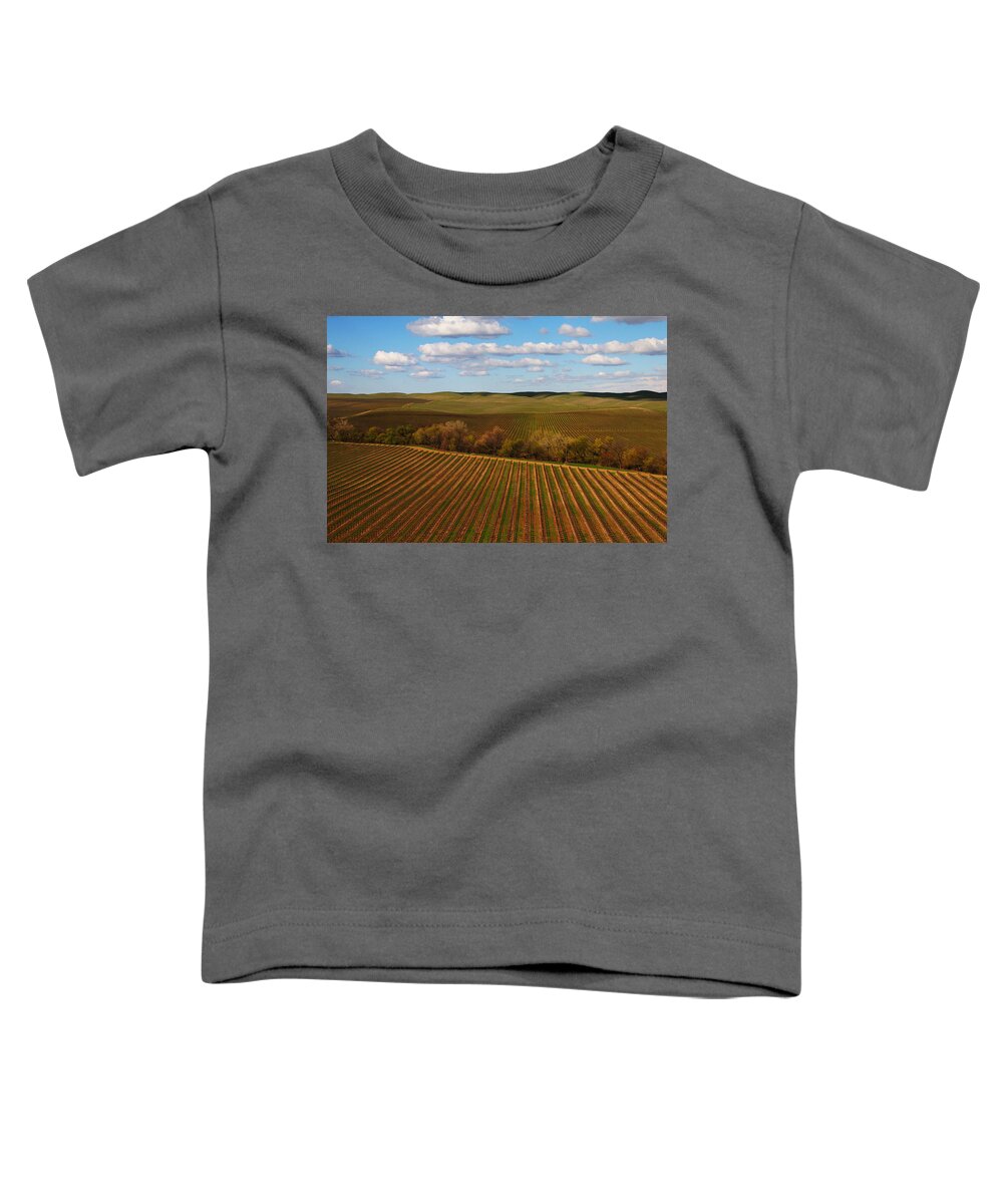 Vineyard Toddler T-Shirt featuring the photograph Dunnigan Hills Vineyard by Robert Woodward