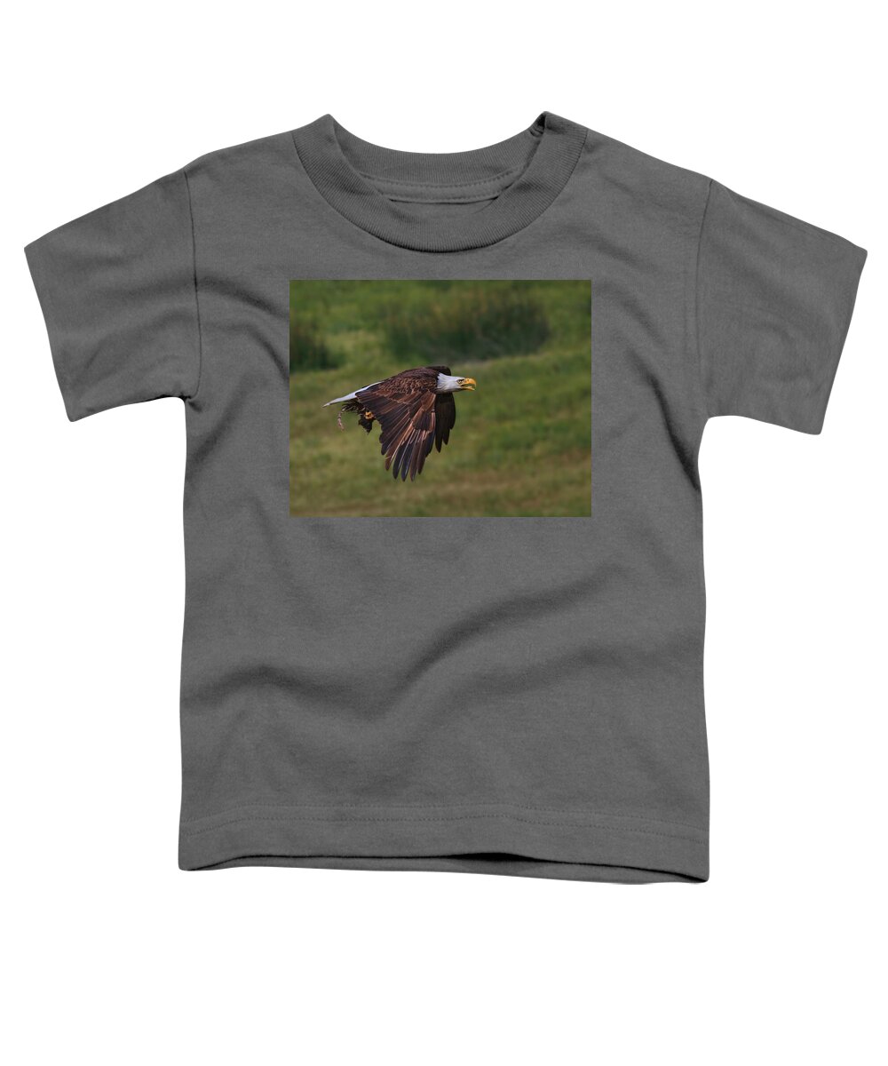 Bald Eagle Toddler T-Shirt featuring the photograph Eagle with Prey by Beth Sargent