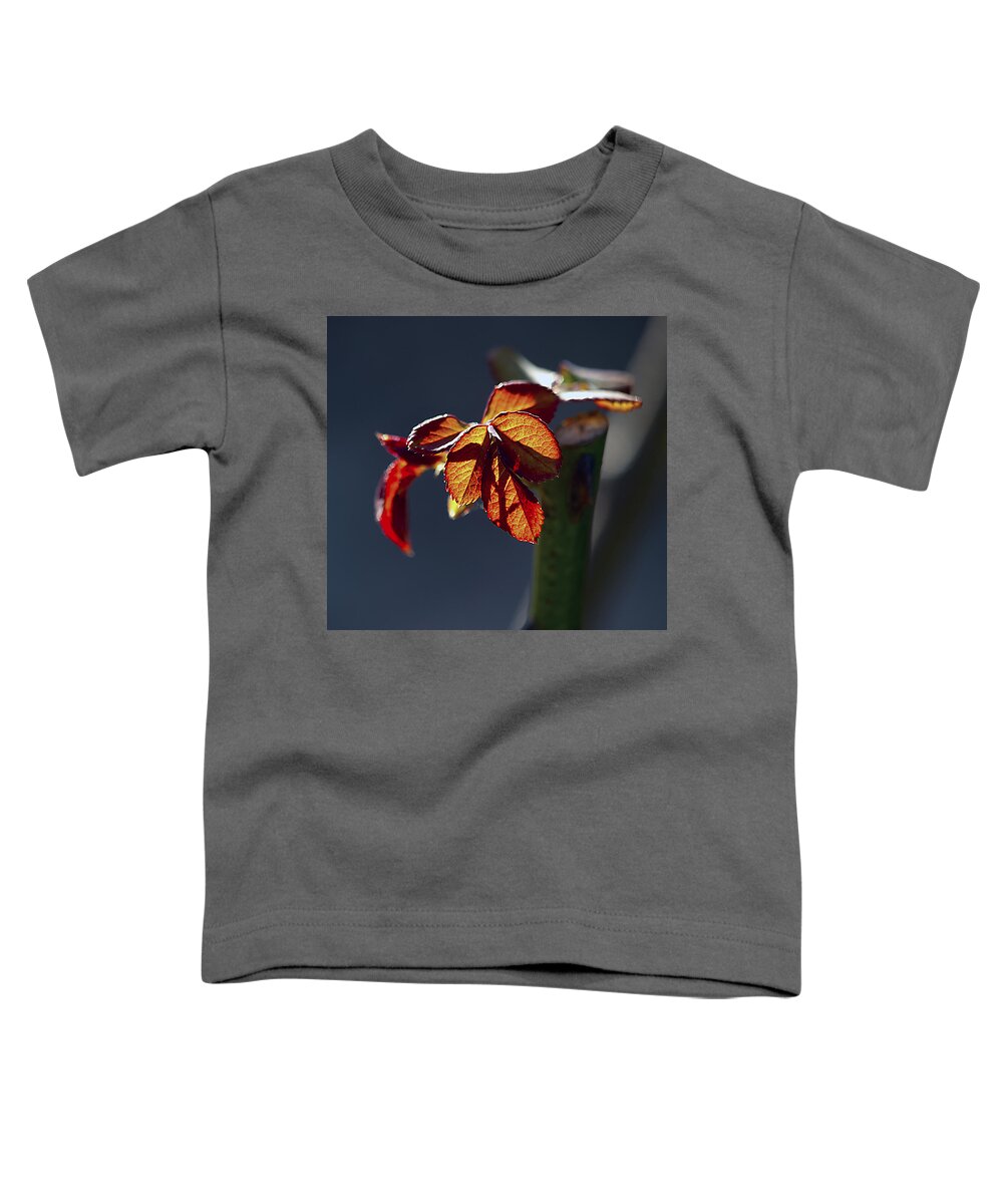 Spring Toddler T-Shirt featuring the photograph Eternal by Joe Schofield
