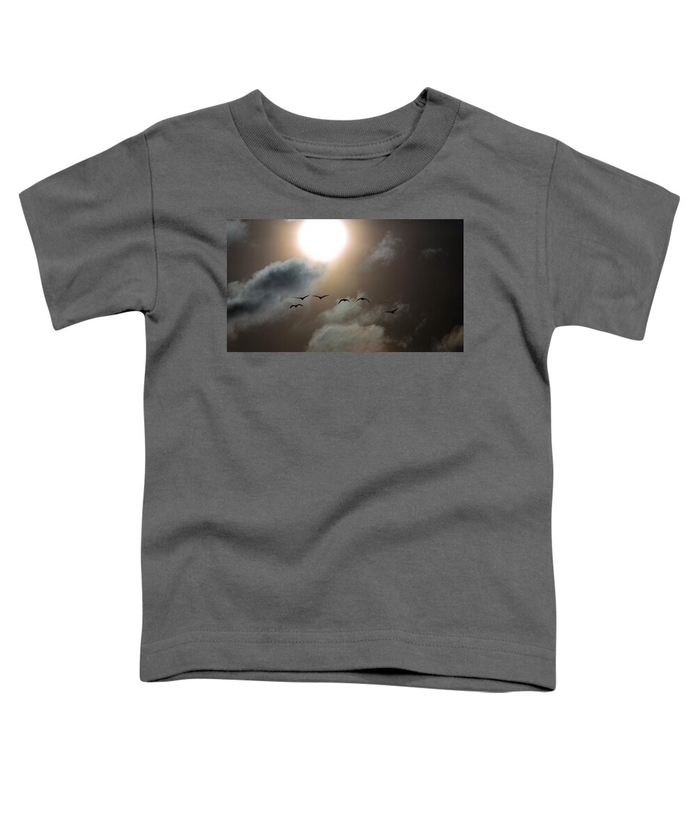 Sunset Toddler T-Shirt featuring the photograph Evening Flight by Donald J Gray