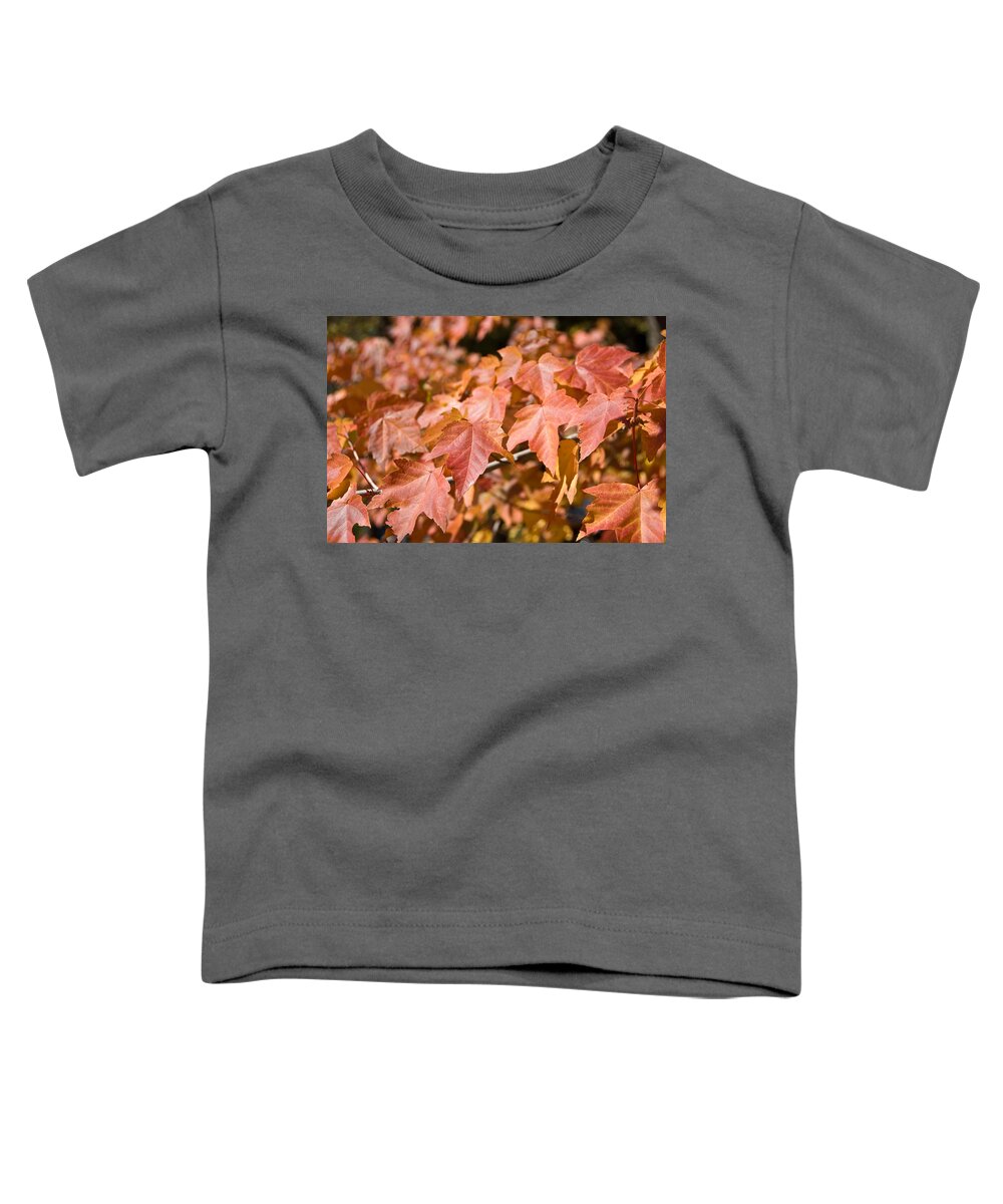 Fall Leaves Toddler T-Shirt featuring the photograph Fall Colors by Shane Kelly