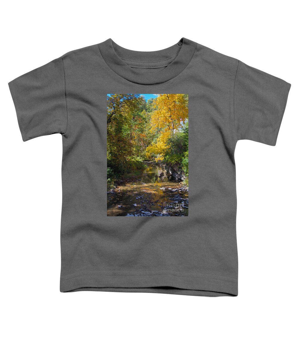 Yellow Toddler T-Shirt featuring the photograph Fall Foliage by William Norton