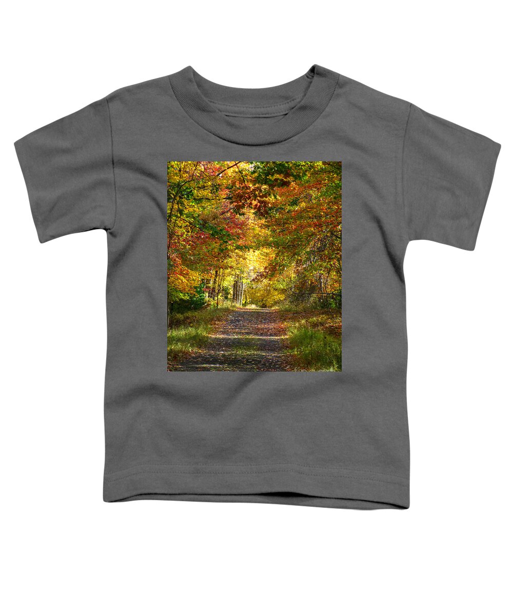 New York State Toddler T-Shirt featuring the photograph Fall forest by Agnes Caruso