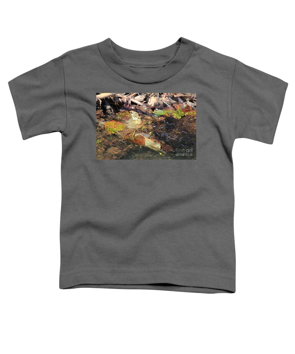 Fall Toddler T-Shirt featuring the photograph Fall Leaves by Ann E Robson