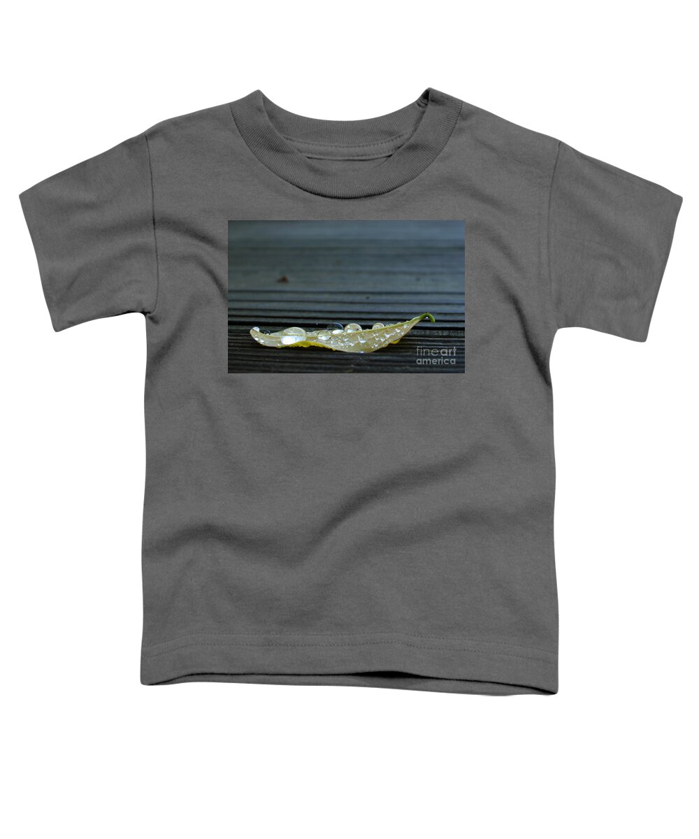 Leaf Toddler T-Shirt featuring the photograph Fallen II by Douglas Stucky