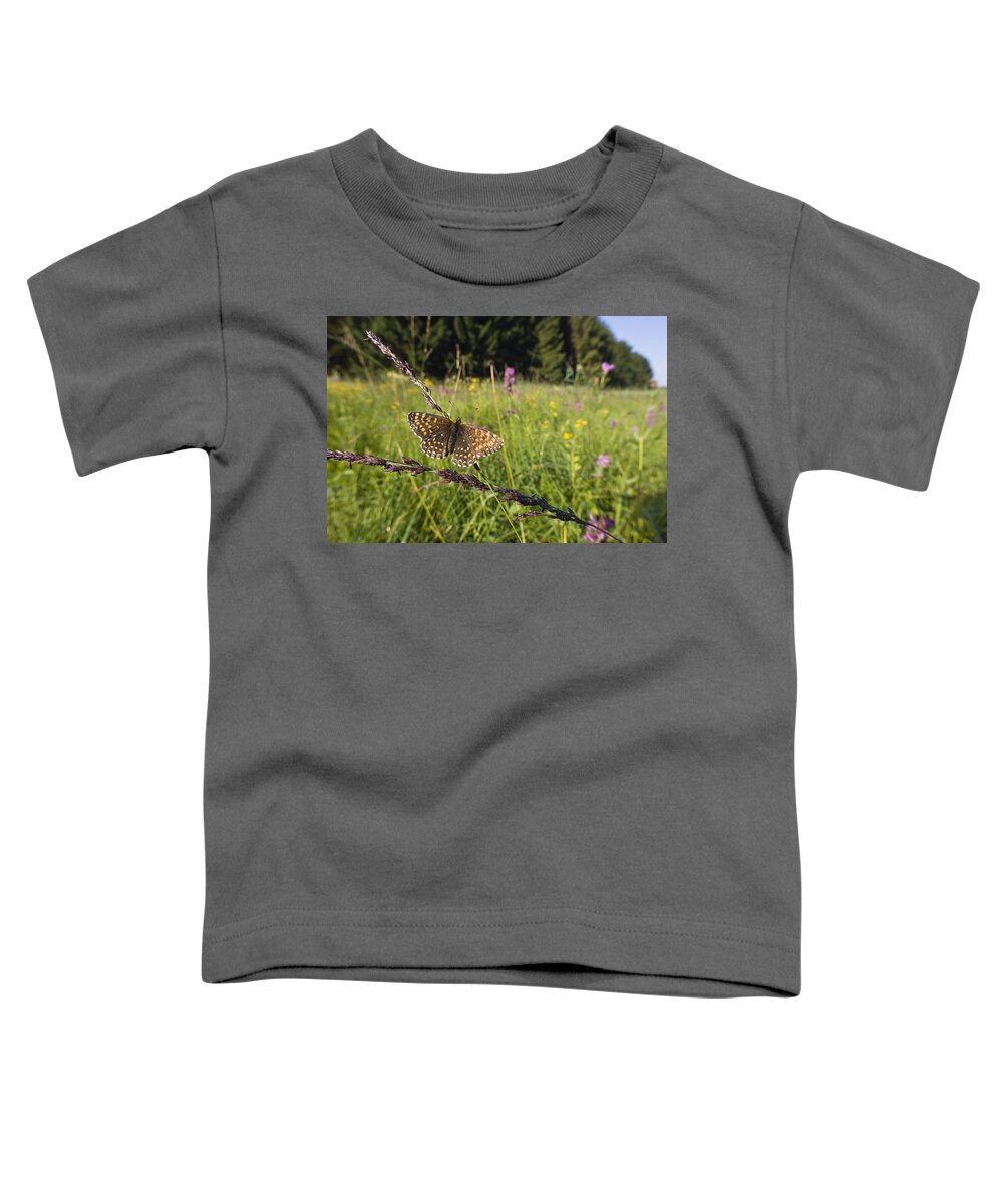 Feb0514 Toddler T-Shirt featuring the photograph False Heath Fritillary In Meadow Bavaria by Konrad Wothe