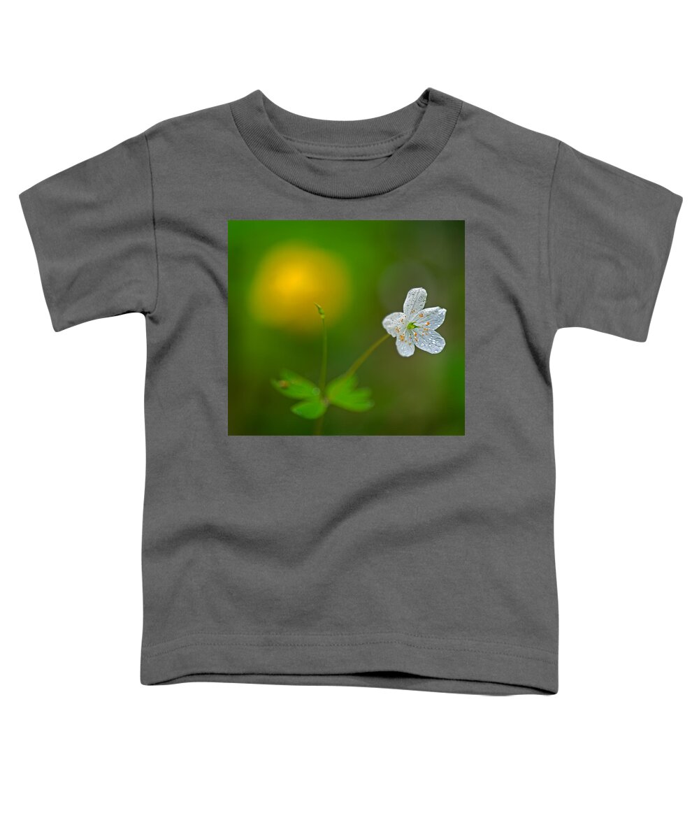 2011 Toddler T-Shirt featuring the photograph False Rue Anemone by Robert Charity
