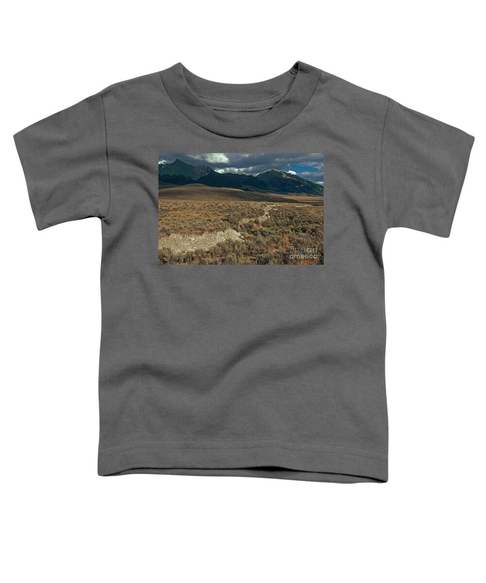 Mount Borah Toddler T-Shirt featuring the photograph Fault Line by William H. Mullins
