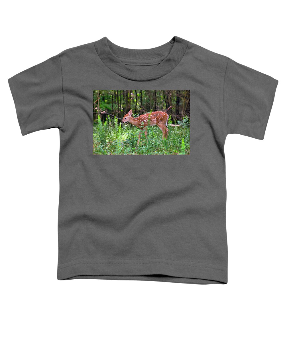 Fawn Toddler T-Shirt featuring the photograph Fawn in Sunbeams by Mary Almond