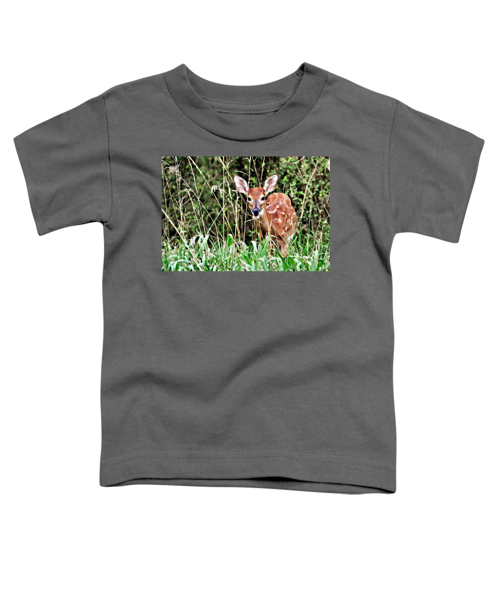 A Whitetail Fawn Hiding In The Tall Grass. Toddler T-Shirt featuring the photograph Fawn In The Grass by Marty Koch