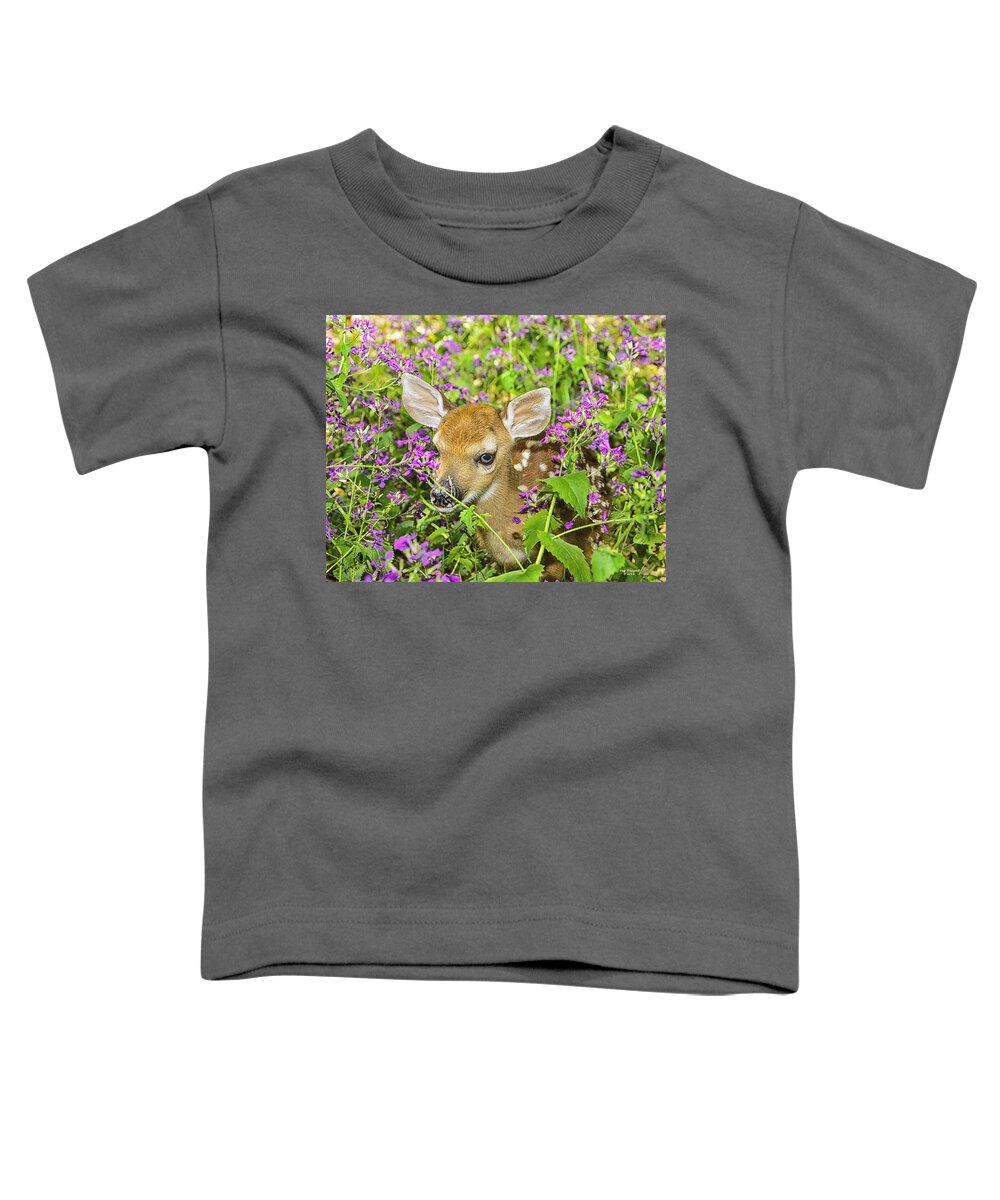 Whitetail Deer Toddler T-Shirt featuring the photograph Fawn in Wildflowers by Peg Runyan
