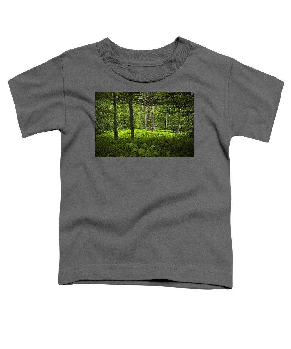 Art Toddler T-Shirt featuring the photograph Ferns in a Vermont Woodland Forest by Randall Nyhof