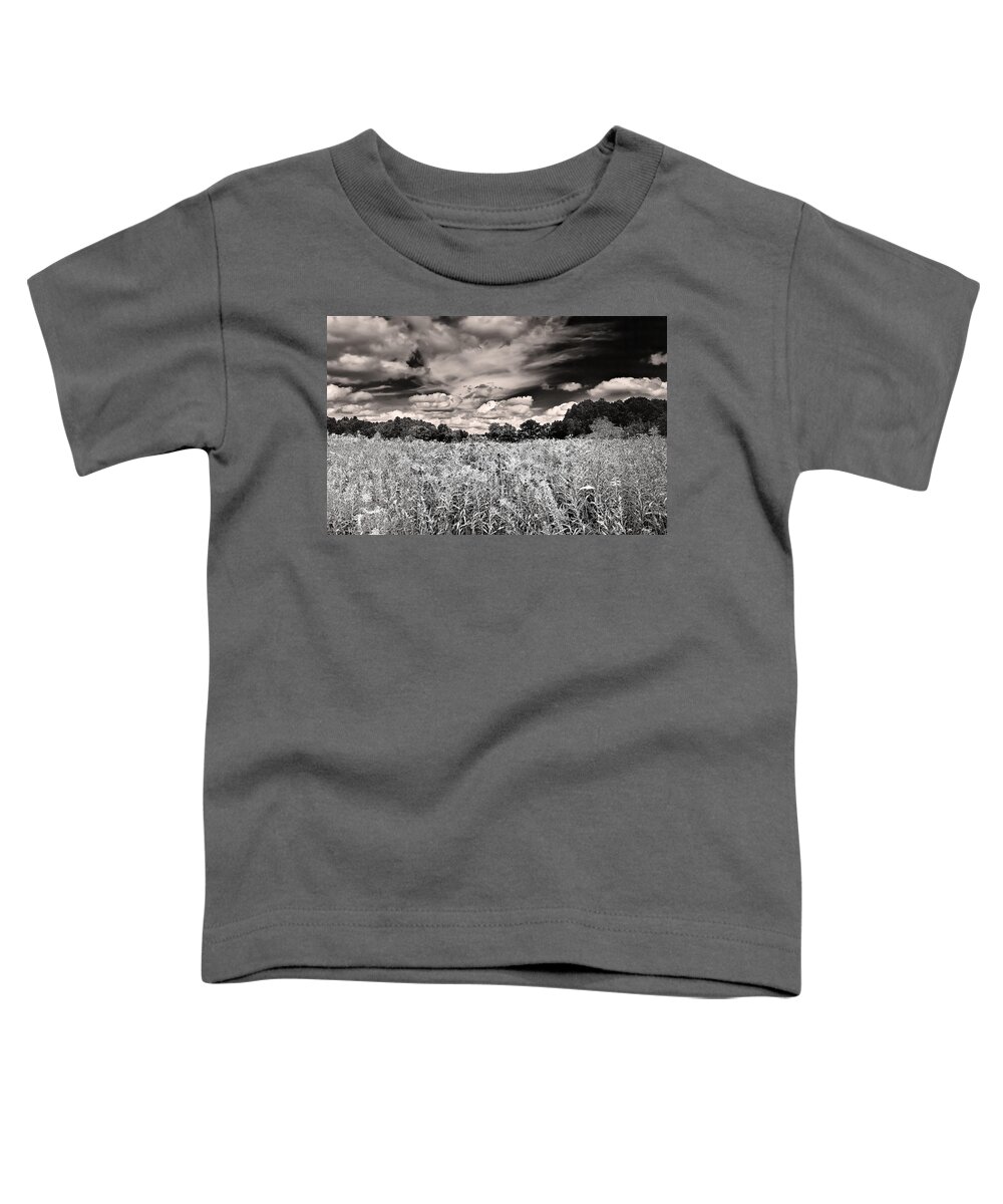 Black And White Toddler T-Shirt featuring the photograph Fields of Gold and Clouds by Mitchell R Grosky