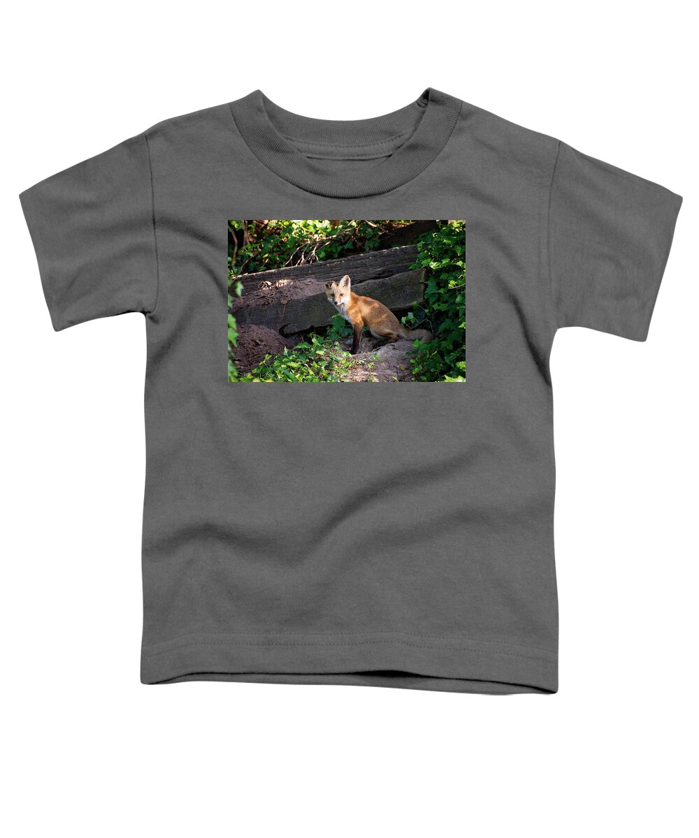 Young Toddler T-Shirt featuring the photograph Flip Flop by Stacy Abbott