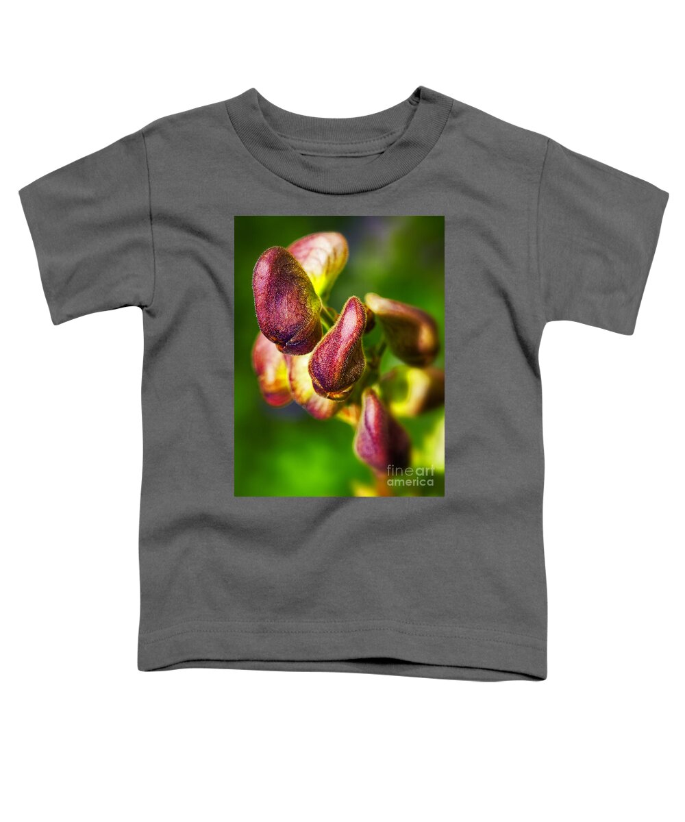 Flower Toddler T-Shirt featuring the photograph Wolf's bane flower buds against a green background by Nick Biemans