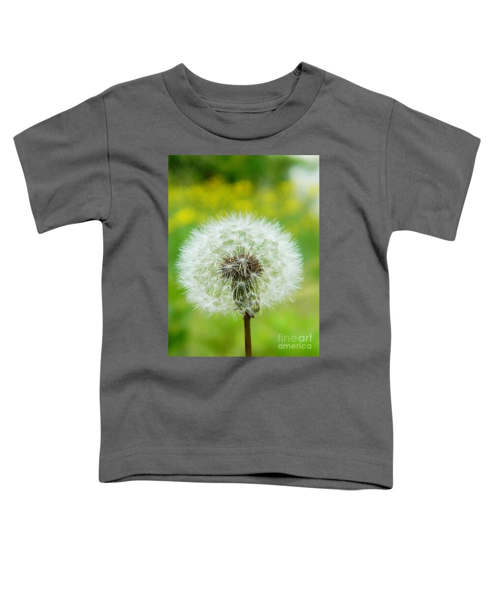 Dandelion Toddler T-Shirt featuring the photograph Fluffy dandelion by Andrea Anderegg