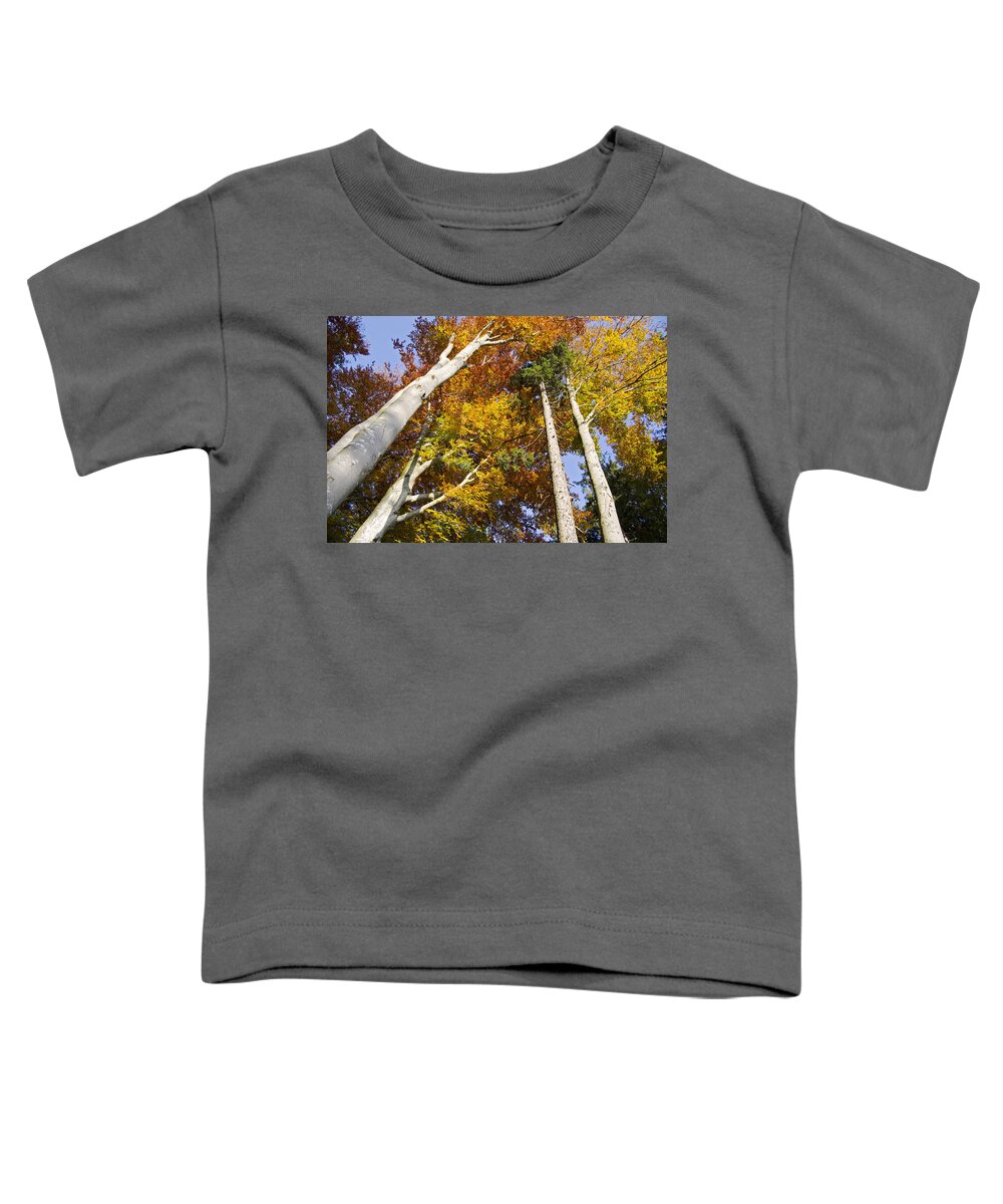 00198119 Toddler T-Shirt featuring the photograph Forest In Autumn Bavaria by Konrad Wothe