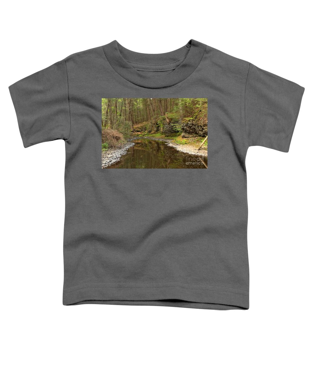 Woods Toddler T-Shirt featuring the photograph Forest Refletions In Raymondskill by Adam Jewell