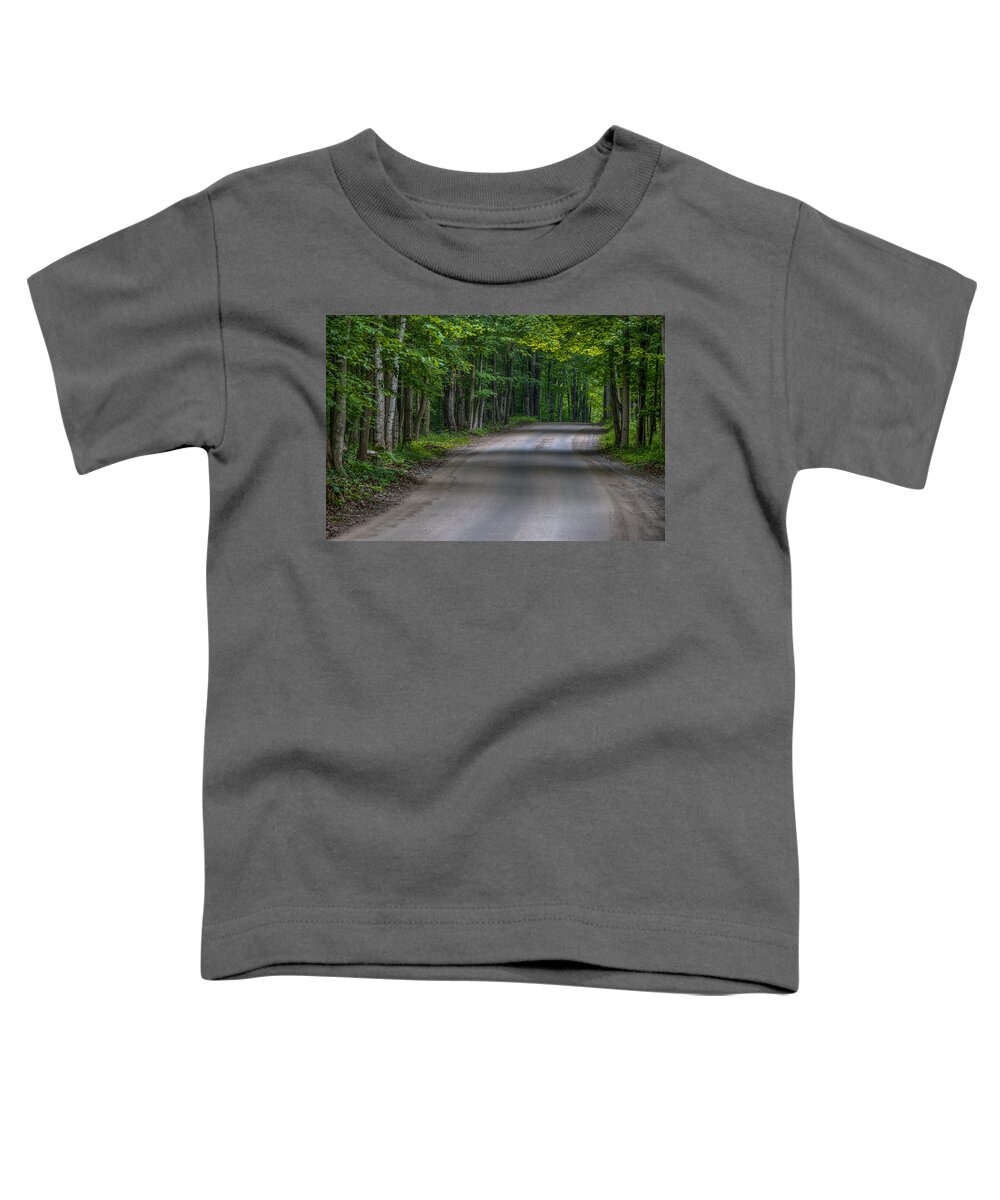 Pure Michigan Toddler T-Shirt featuring the photograph Forest Road by Sebastian Musial