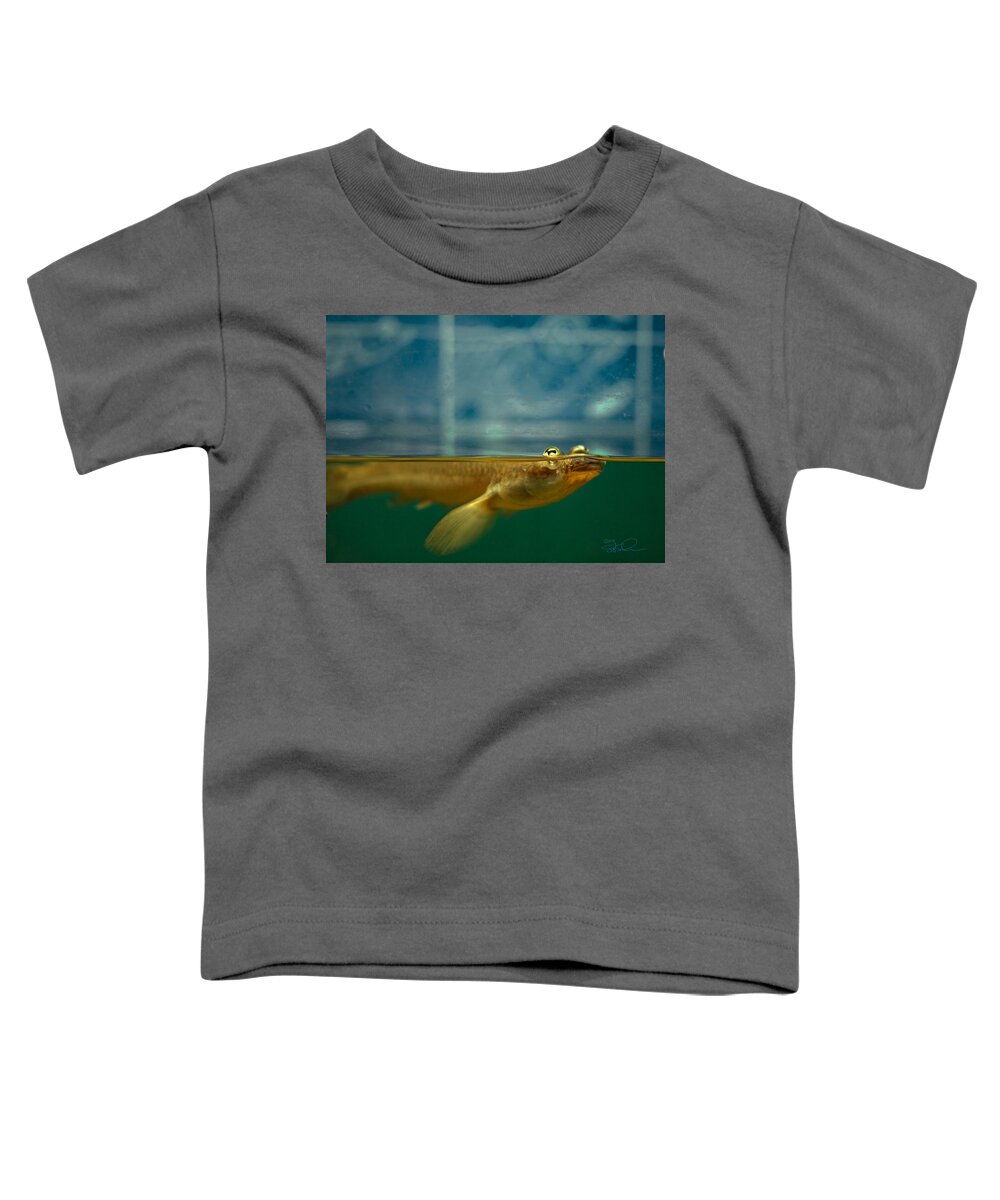 Anableps Toddler T-Shirt featuring the photograph Four Eyes by S Paul Sahm