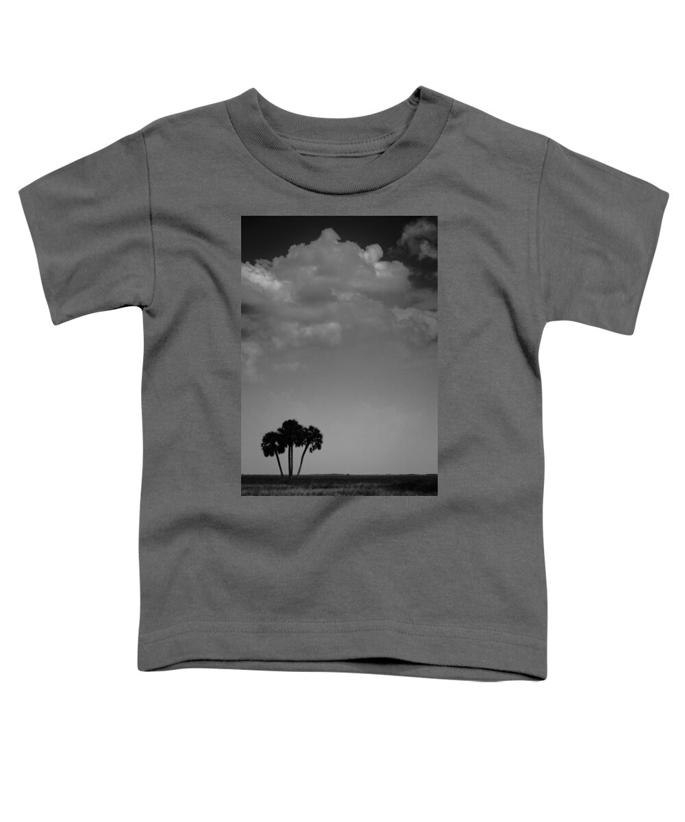 Palm Toddler T-Shirt featuring the photograph Four Palms by Bradley R Youngberg