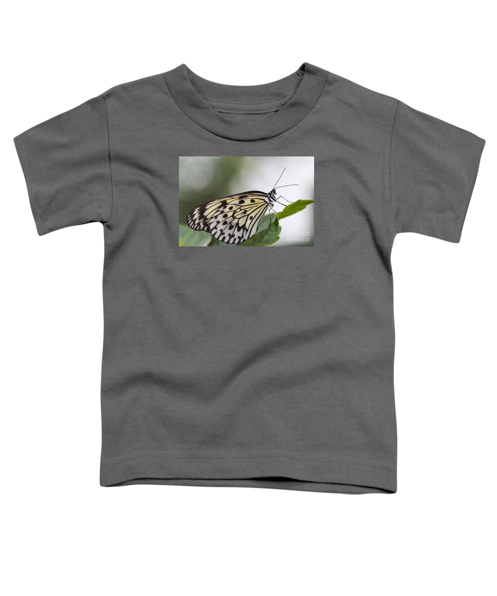 Clare Bambers Toddler T-Shirt featuring the photograph Fragile Beauty by Clare Bambers