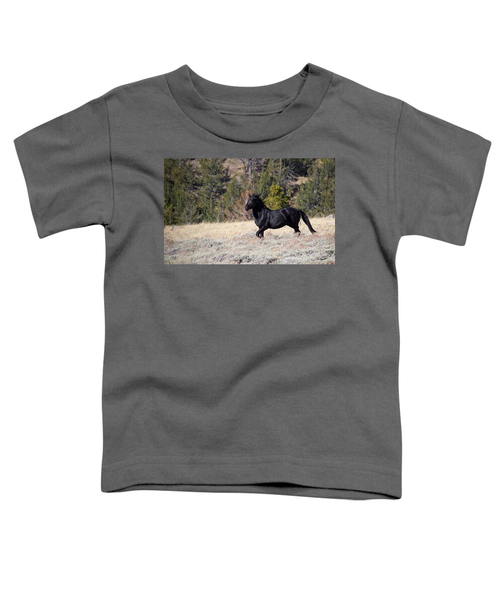 Horizontal Toddler T-Shirt featuring the photograph Free Runner - Wild Horse - Green Mountain - Wyoming by Diane Mintle