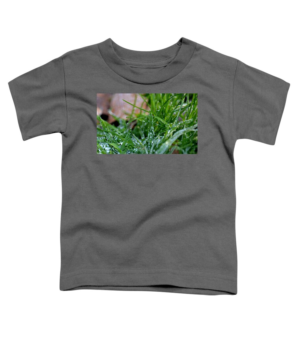 Frosted Dew Toddler T-Shirt featuring the photograph Frosted Dew by Maria Urso