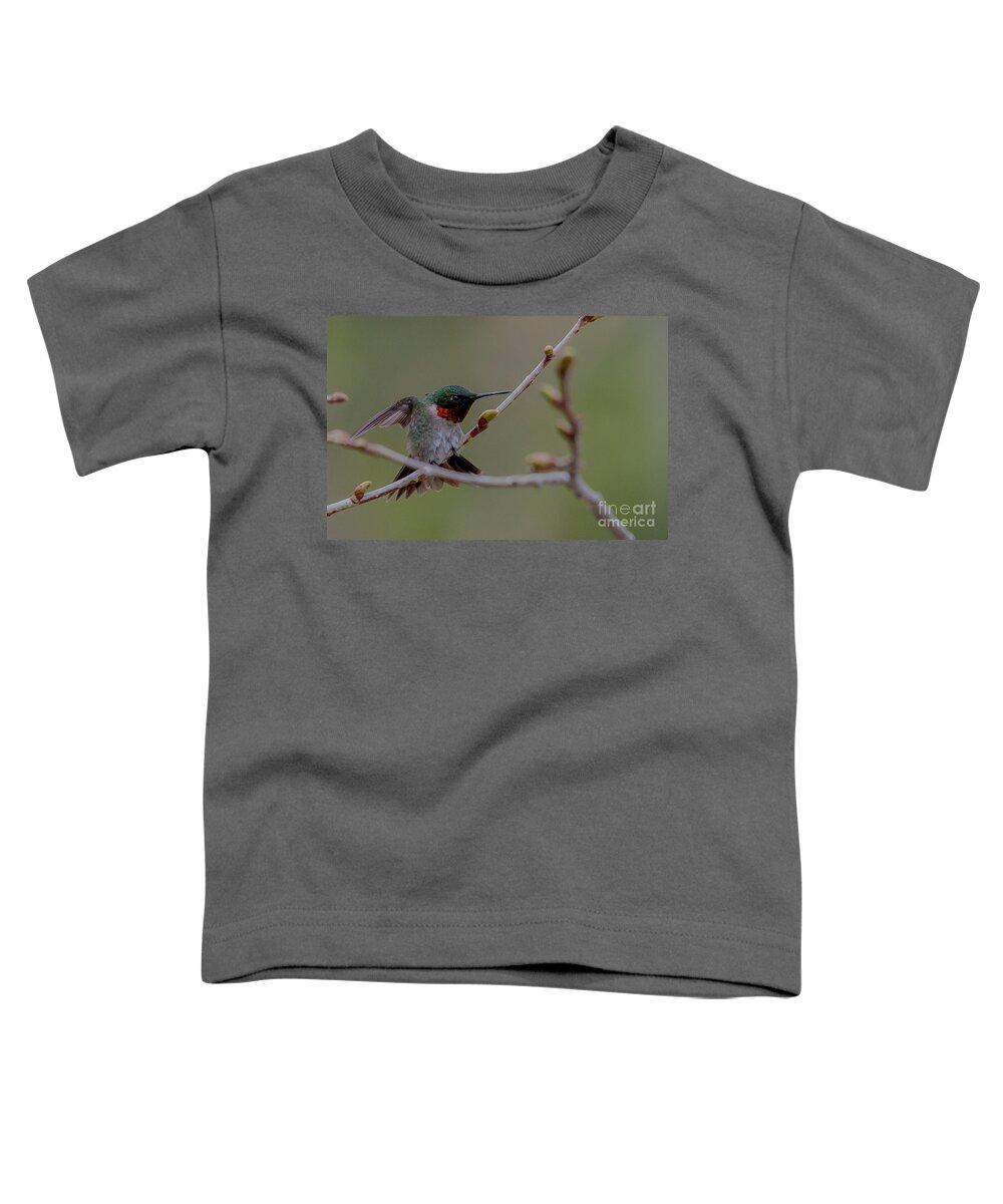 Landscape Toddler T-Shirt featuring the photograph Funky Hummingbird by Cheryl Baxter