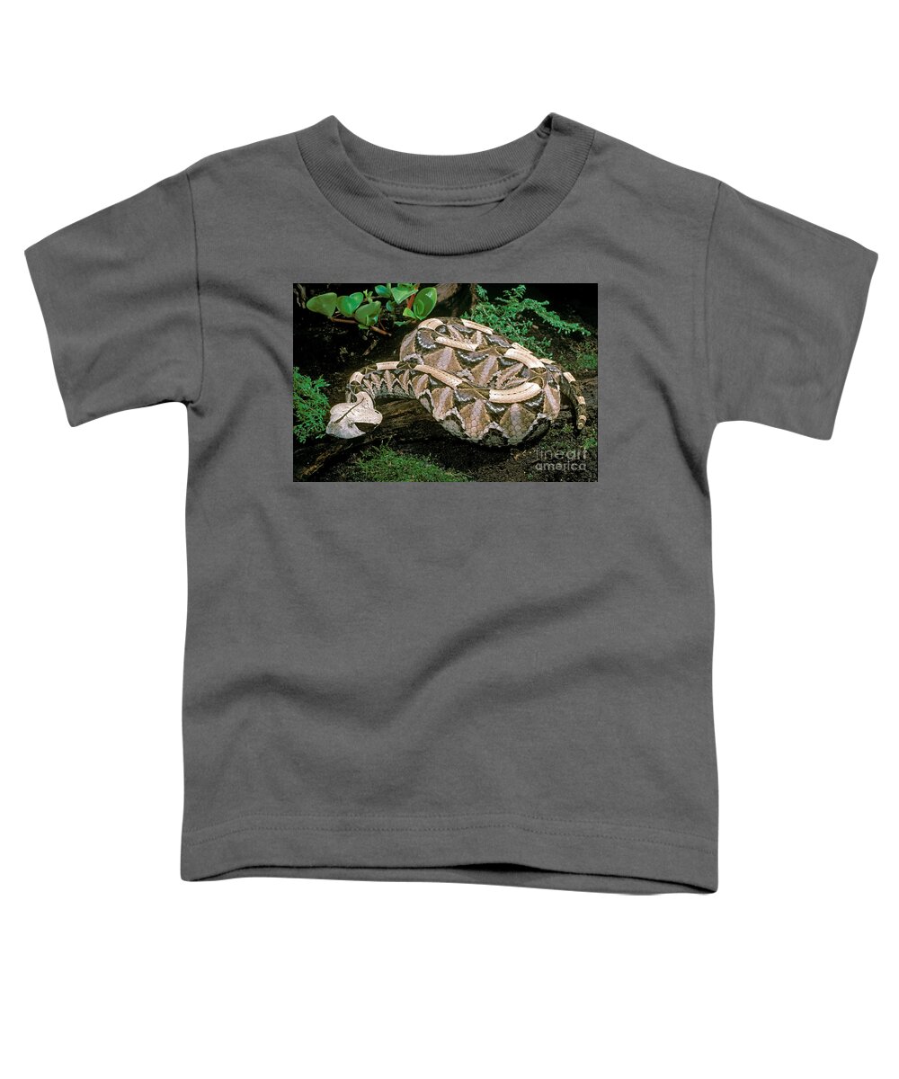 Gaboon Viper Toddler T-Shirt featuring the photograph Gaboon Viper by ER Degginger