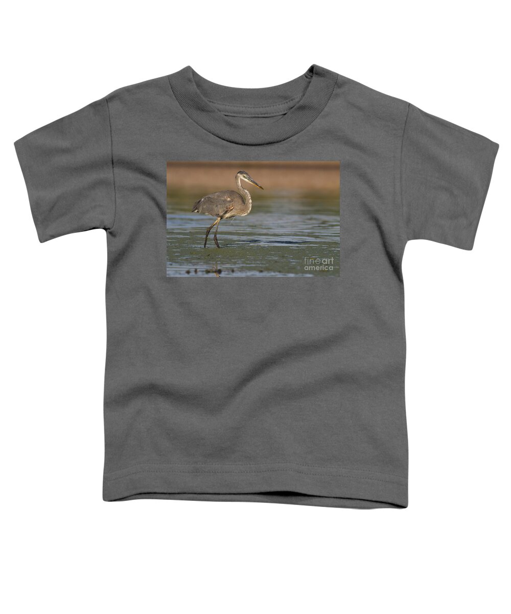 Great Blue Heron Toddler T-Shirt featuring the photograph Great Blue Heron stalking by Bryan Keil
