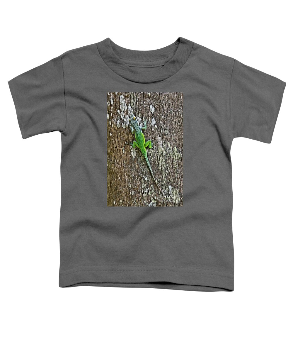 Lizard Toddler T-Shirt featuring the photograph Gecko by DJ Florek