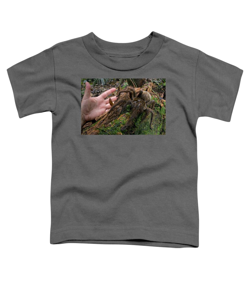 00542026 Toddler T-Shirt featuring the photograph Giant Goliath Spider by Piotr Naskrecki