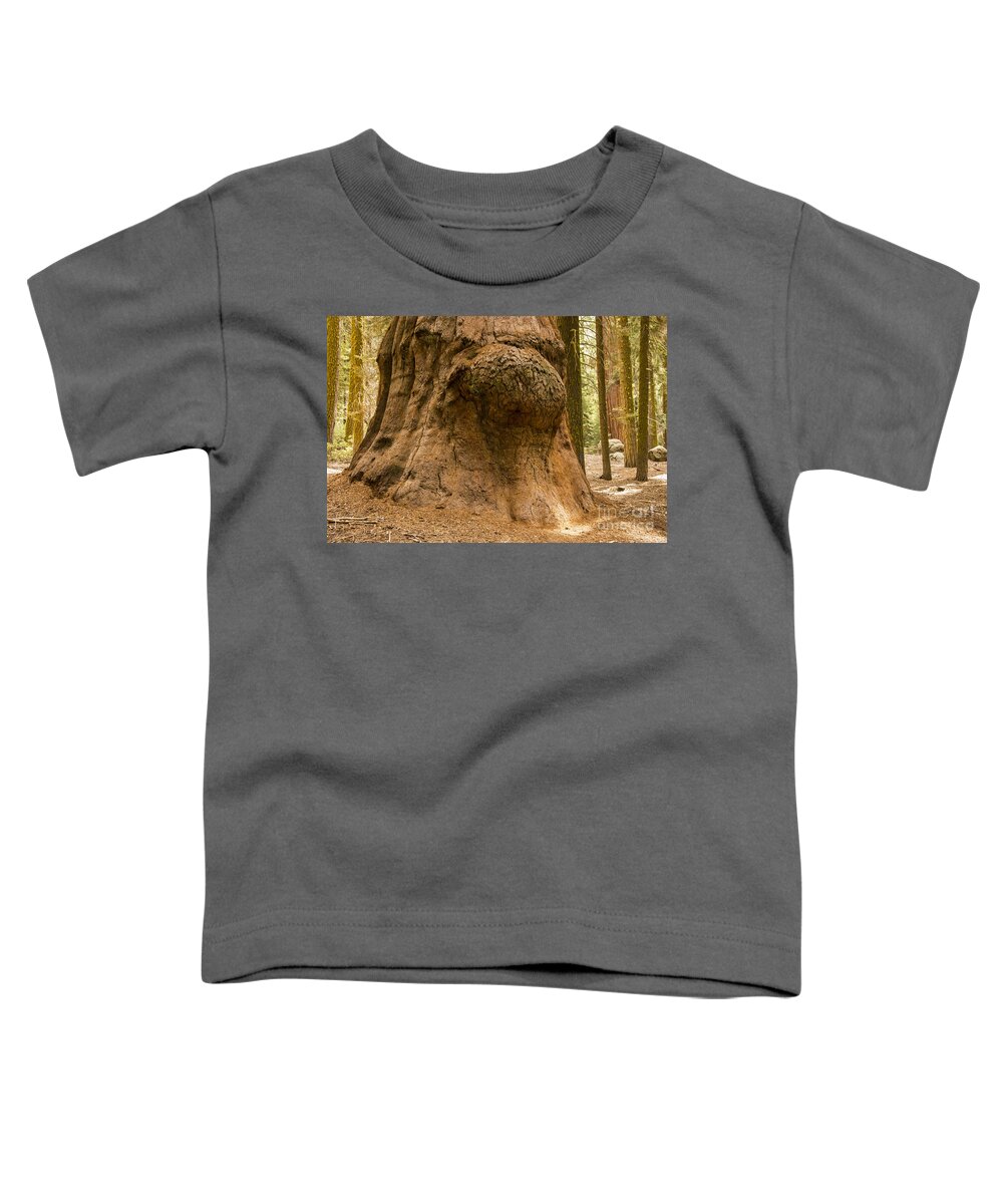 Giant Tree Trees Sequoia National Park California Parks Knot Knots Odds And Ends Texture Textures Toddler T-Shirt featuring the photograph Giant Knot in Giant Tree by Bob Phillips