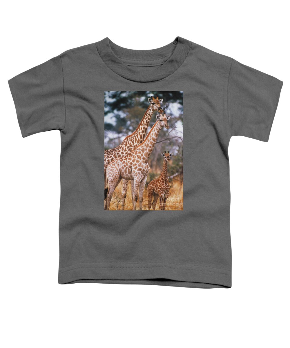 Vertical Toddler T-Shirt featuring the photograph Giraffes by Gregory G. Dimijian