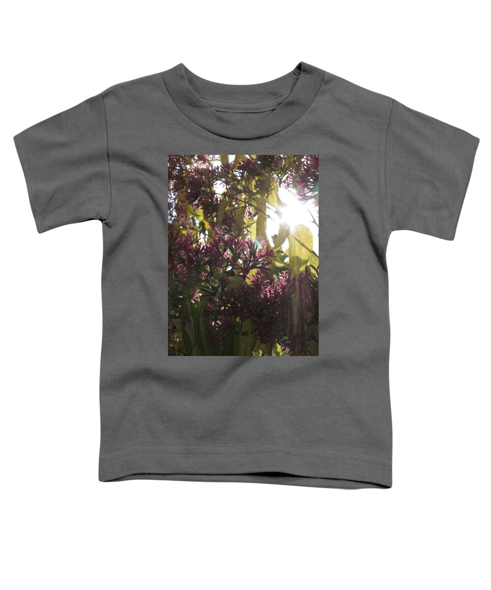 Sun Toddler T-Shirt featuring the photograph Gleam by Jessica Myscofski