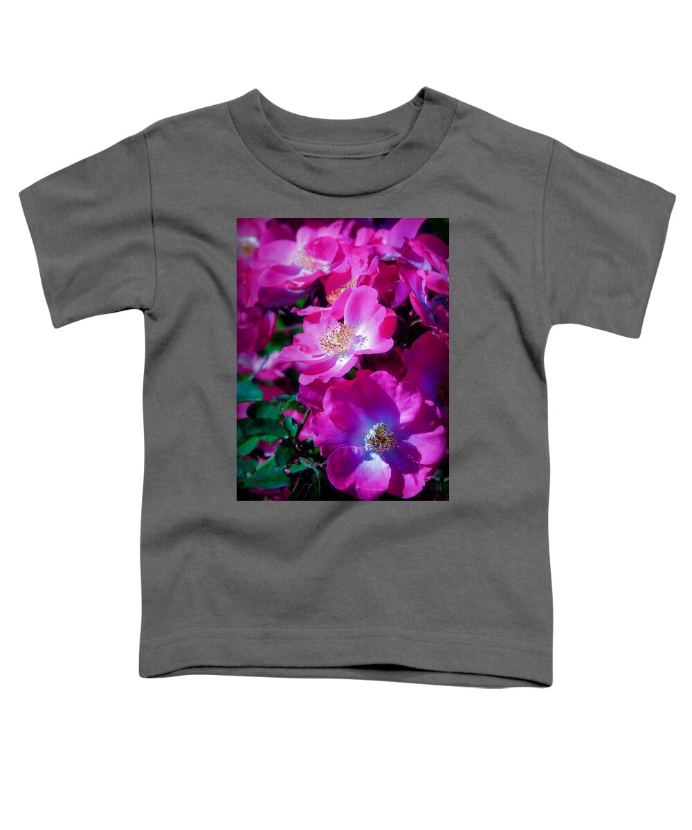 Roses Toddler T-Shirt featuring the photograph Glorious Blooms by Lucinda Walter