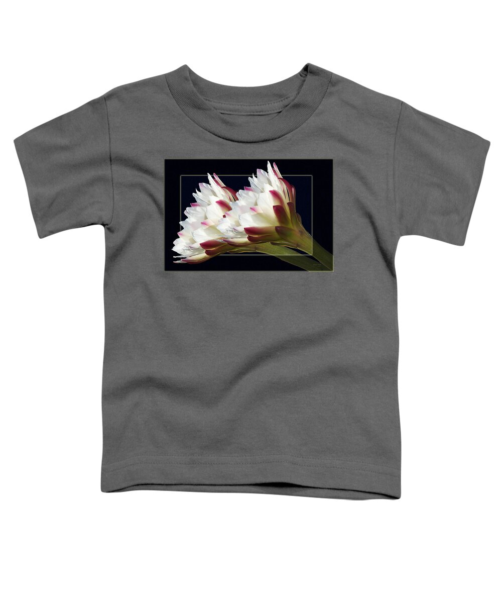 Flowers Toddler T-Shirt featuring the photograph God's Trumpets by Phyllis Denton