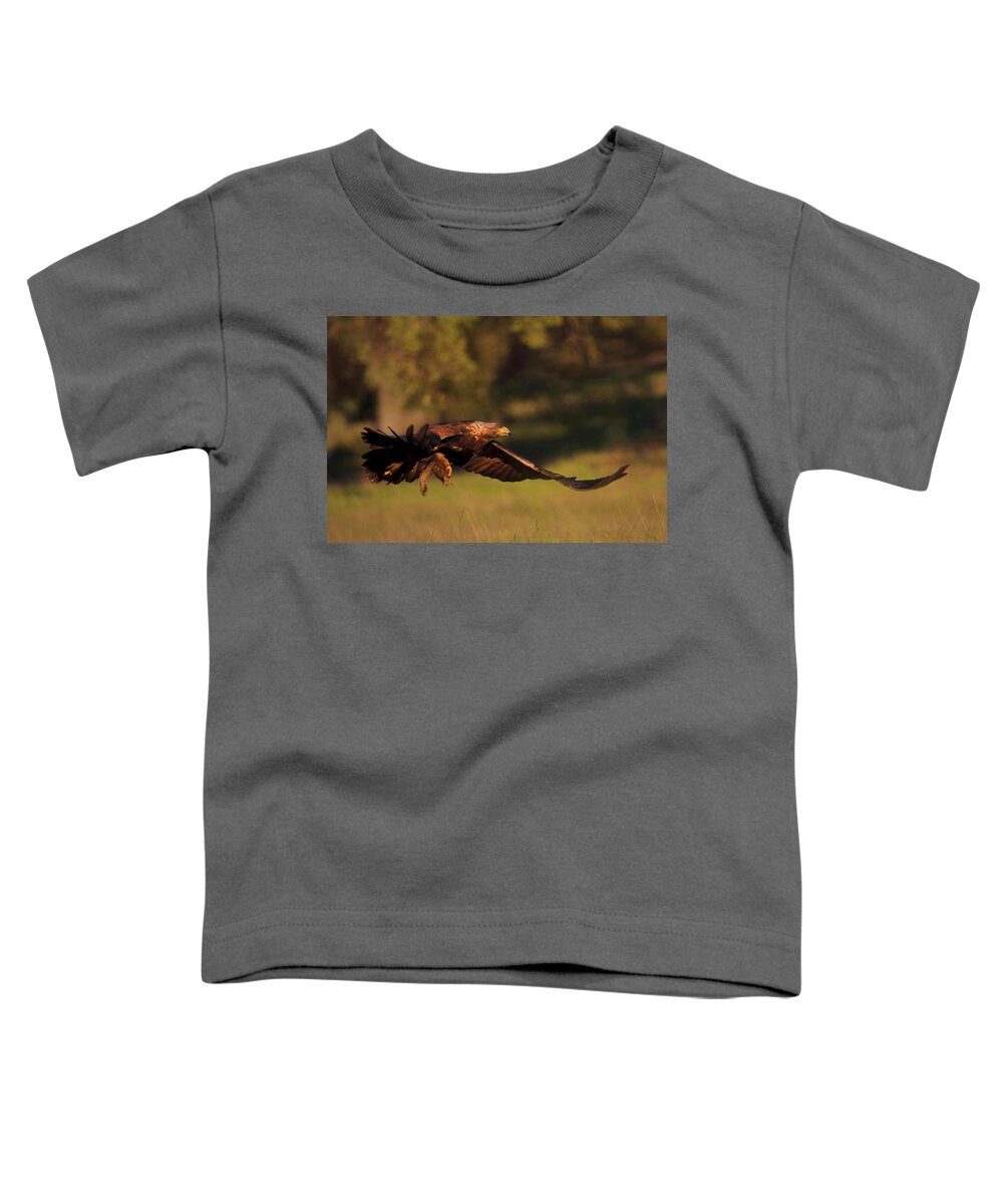 Golden Eagle Toddler T-Shirt featuring the photograph Golden Eagle on the Hunt by Beth Sargent