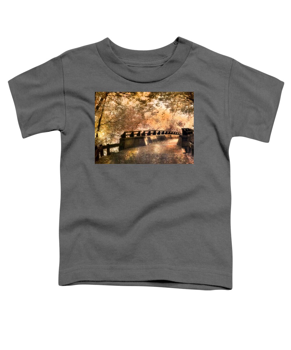 New Hampshire Toddler T-Shirt featuring the photograph Golden Pathway - Mine Falls Park by Joann Vitali