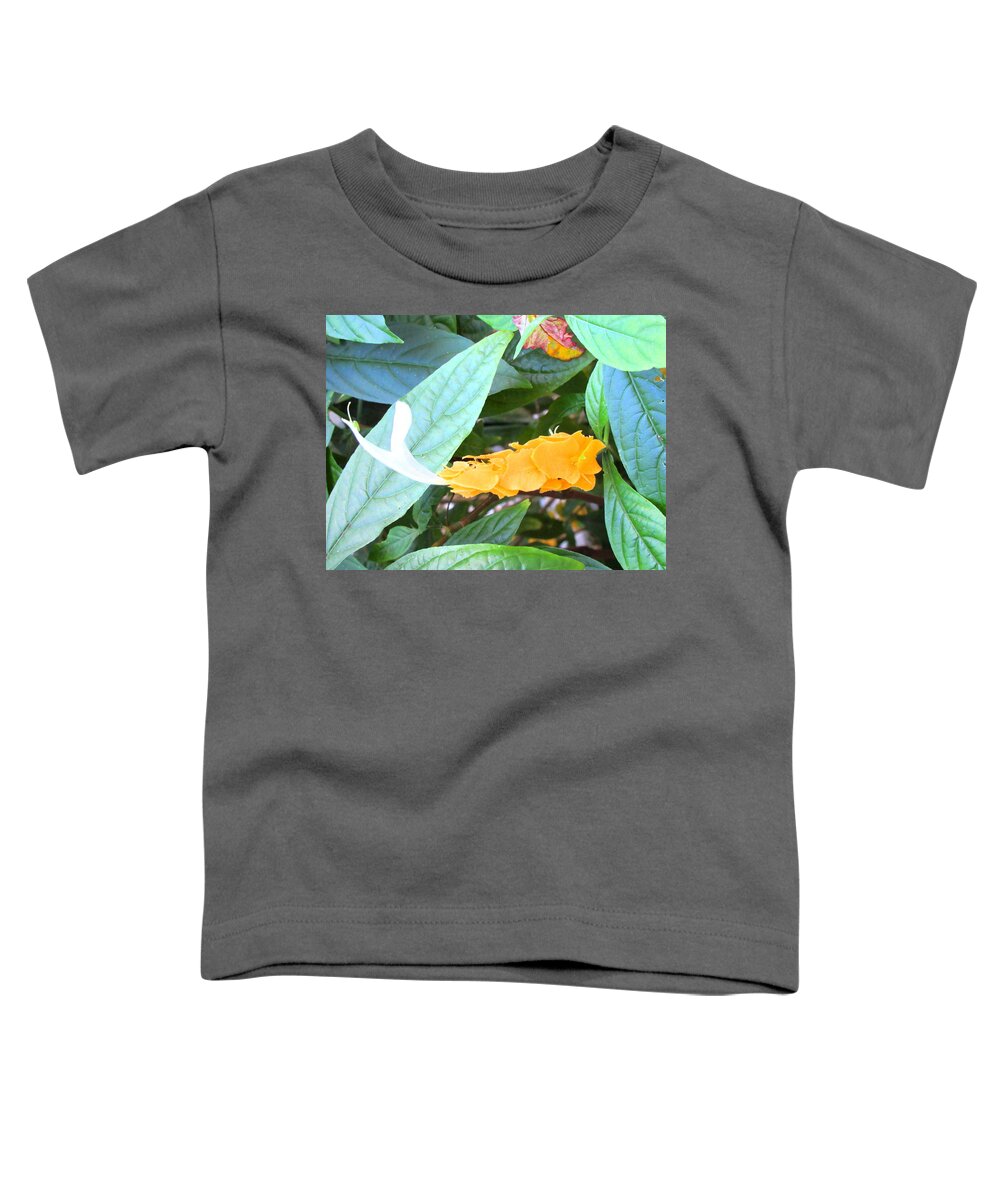 Art Toddler T-Shirt featuring the photograph Golden Shrimp Plant by Ashley Goforth