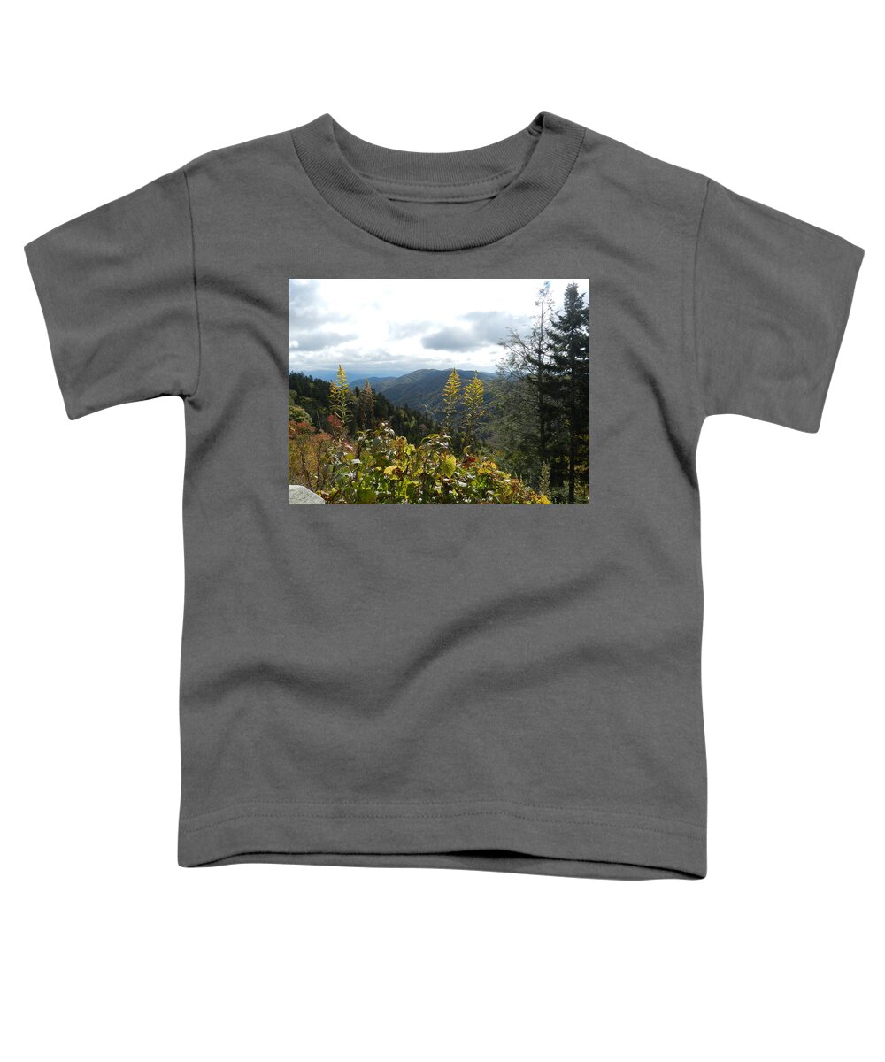 Mountain View Toddler T-Shirt featuring the photograph Golden View by Deborah Ferree