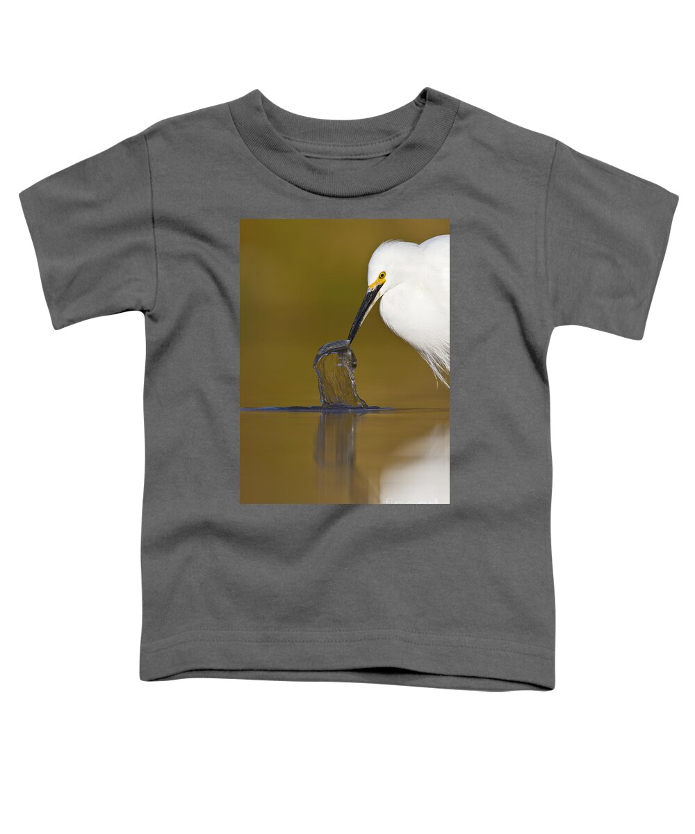 Egret Toddler T-Shirt featuring the photograph Gotcha by Bryan Keil