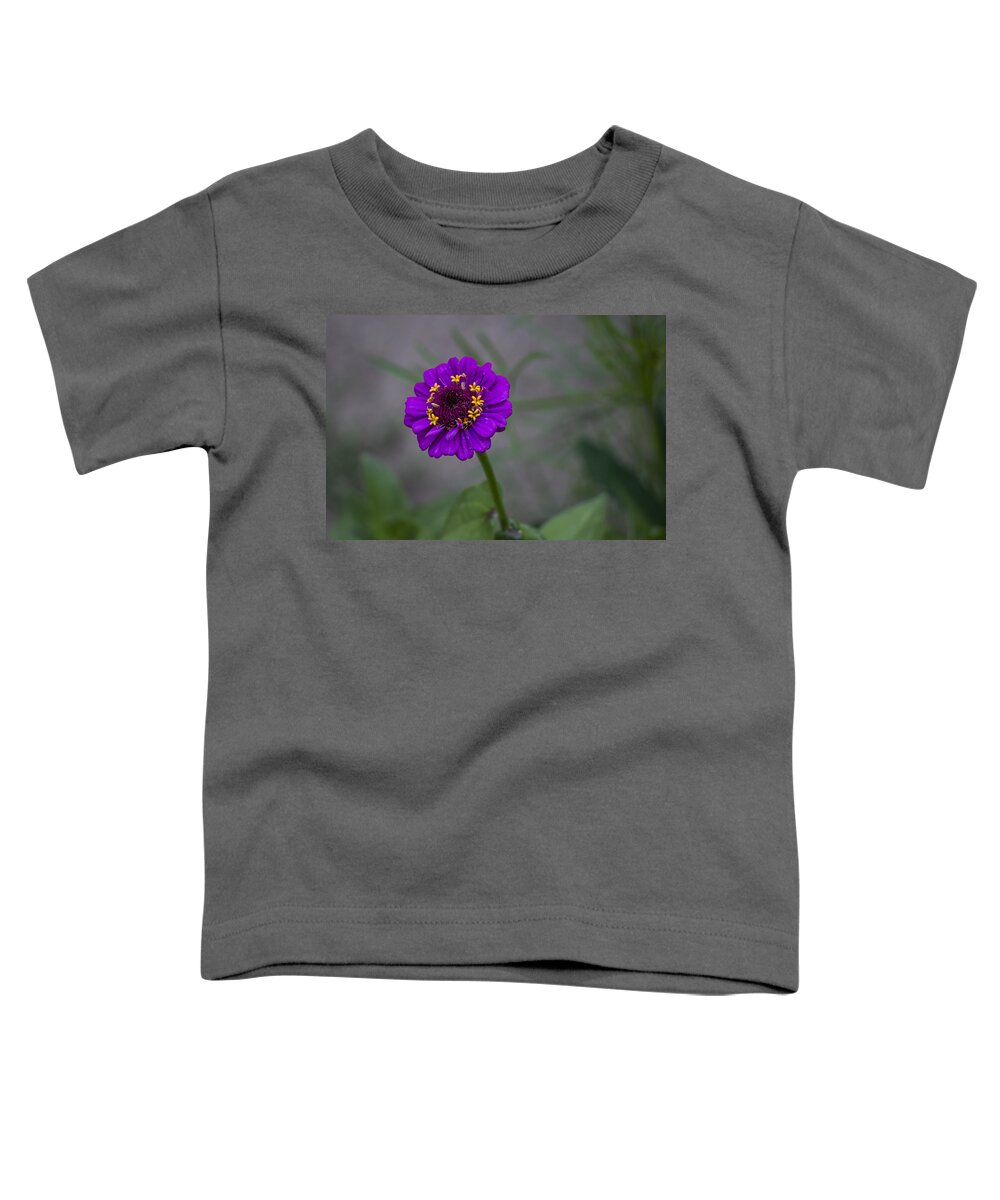 Daisy Toddler T-Shirt featuring the photograph Great flower by Paulo Goncalves